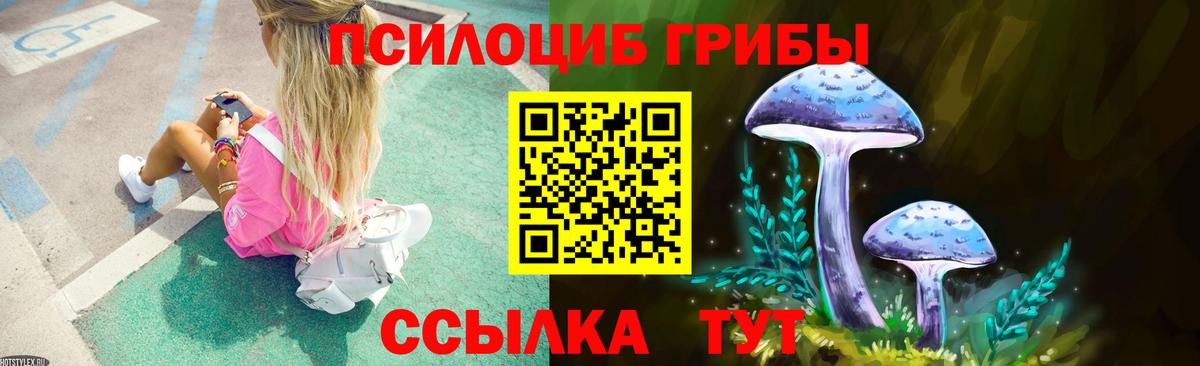 Псилоцибиновые грибы Psilocybe Георгиевск